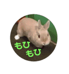 白犬クーのスタンプ2（個別スタンプ：26）