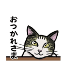 猫のマックス（個別スタンプ：5）