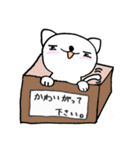 癒しのネコ とうふ パート2（個別スタンプ：8）