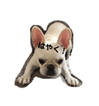 フレブルくるみ（個別スタンプ：11）
