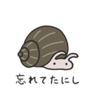 たにし語録（個別スタンプ：33）