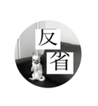 うちのブラン。（個別スタンプ：3）