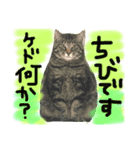 自分のスタンプ作った（個別スタンプ：2）