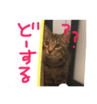 自分のスタンプ作った（個別スタンプ：4）