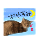 自分のスタンプ作った（個別スタンプ：6）