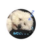後藤家スタンプ（個別スタンプ：3）