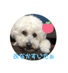 後藤家スタンプ（個別スタンプ：7）