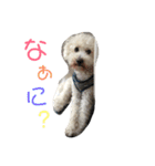 後藤家スタンプ（個別スタンプ：10）