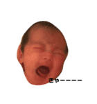 我が家の子たちwith裕哉（個別スタンプ：6）