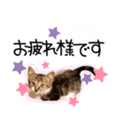 らみちゃん スタンプ（個別スタンプ：3）