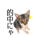 らみちゃん スタンプ（個別スタンプ：5）
