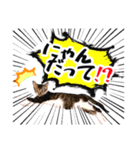 らみちゃん スタンプ（個別スタンプ：6）
