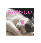 ノルスコテト♡②（個別スタンプ：2）