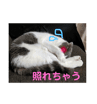 ノルスコテト♡②（個別スタンプ：3）