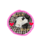 ノルスコテト♡②（個別スタンプ：6）