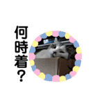 ノルスコテト♡②（個別スタンプ：11）
