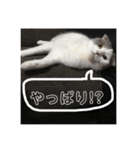 ノルスコテト♡②（個別スタンプ：18）