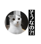 ノルスコテト♡②（個別スタンプ：19）
