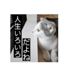 ノルスコテト♡②（個別スタンプ：21）