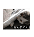 ノルスコテト♡②（個別スタンプ：23）