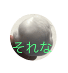 我が家の文鳥（個別スタンプ：4）
