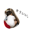 わるっきー2（個別スタンプ：1）