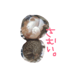 ぼく、想空だよ！（個別スタンプ：24）