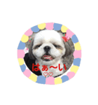 ちぁ＆のぁ2（個別スタンプ：2）