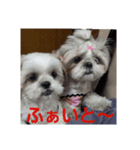 ちぁ＆のぁ2（個別スタンプ：6）