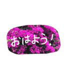 風景 よく使う言葉（個別スタンプ：9）