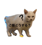 山口家のアニマルズ（個別スタンプ：14）