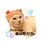 山口家のアニマルズ（個別スタンプ：21）