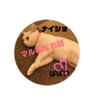 山口家のアニマルズ（個別スタンプ：23）
