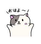ねこ1 日常で使えるもの笑笑（個別スタンプ：1）