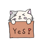 ねこ1 日常で使えるもの笑笑（個別スタンプ：5）