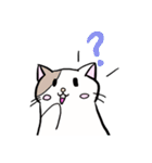 ねこ1 日常で使えるもの笑笑（個別スタンプ：13）