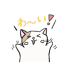 ねこ1 日常で使えるもの笑笑（個別スタンプ：14）