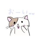 ねこ1 日常で使えるもの笑笑（個別スタンプ：23）
