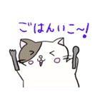 ねこ1 日常で使えるもの笑笑（個別スタンプ：24）