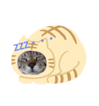 マイねこ（個別スタンプ：6）