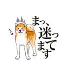 秋田犬LOVE 2（個別スタンプ：25）