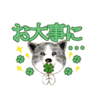 秋田犬LOVE 2（個別スタンプ：36）