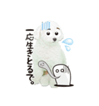 こぶた＆おーじ(メッセージ1)（個別スタンプ：7）