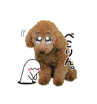 こぶた＆おーじ(メッセージ1)（個別スタンプ：8）