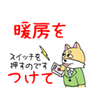 柴犬の伝言係柴田松吉君のでか文字（個別スタンプ：19）