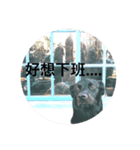 黒犬 HOPE 日常（個別スタンプ：4）