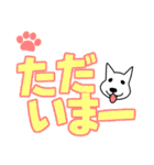 白わんこ のデカ文字スタンプ（個別スタンプ：22）