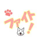 白わんこ のデカ文字スタンプ（個別スタンプ：26）