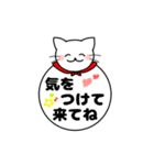 ねこまる デカ文字スタンプ【日常編】（個別スタンプ：10）