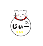 ねこまる デカ文字スタンプ【日常編】（個別スタンプ：36）